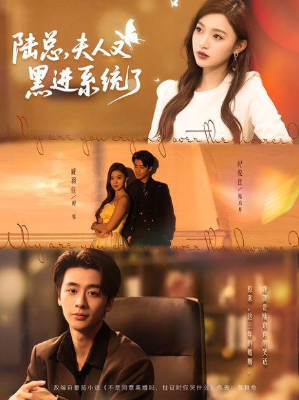 陆总，夫人又黑进系统了&陆总夫人又黑进系统了（81集）戚羽佳&纪俊良 高清完整版