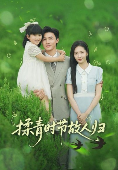 揉青时节故人归（60集）张嘉怡&郭奕宁 高清完整版